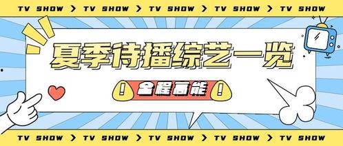 娱乐吃瓜营销号推荐,热门吃瓜营销号盘点与影响力分析