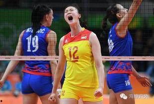 娱乐吃瓜酱女排,揭秘赛场内外那些不为人知的“瓜田”故事