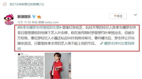 娱乐圈大佬吃瓜小说,大佬的吃瓜日常