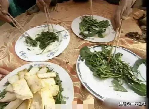 娱乐吃瓜新粉,如何成为合格的“吃瓜群众”