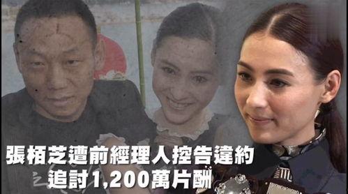 吃瓜调侃娱乐,吃瓜调侃中的娱乐盛宴