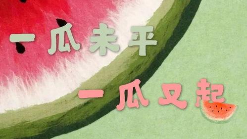 吃瓜娱乐交通规则,交通规则知识大盘点