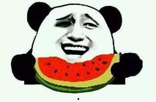 娱乐吃瓜群众1,娱乐八卦的狂欢与反思