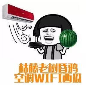 娱乐吃瓜群众1,娱乐八卦的狂欢与反思