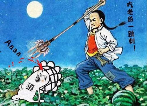娱乐吃瓜群众1,娱乐八卦的狂欢与反思