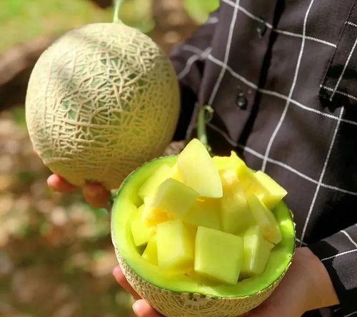 糯米娱乐圈吃瓜,揭秘明星们的“吃瓜”日常