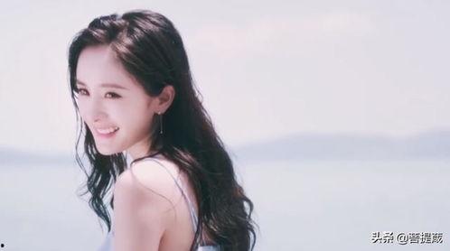 娱乐圈吃瓜白鹿,揭秘明星背后的故事