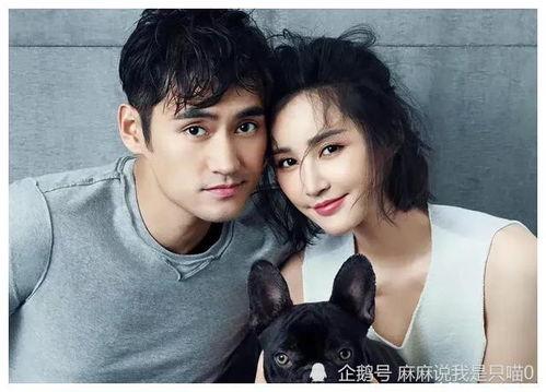 娱乐圈吃瓜爆料视频号