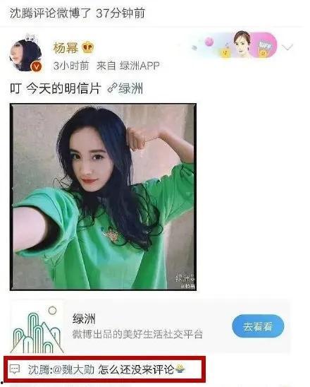 吃瓜娱乐圈小故事在线阅读,吃瓜小故事大揭秘